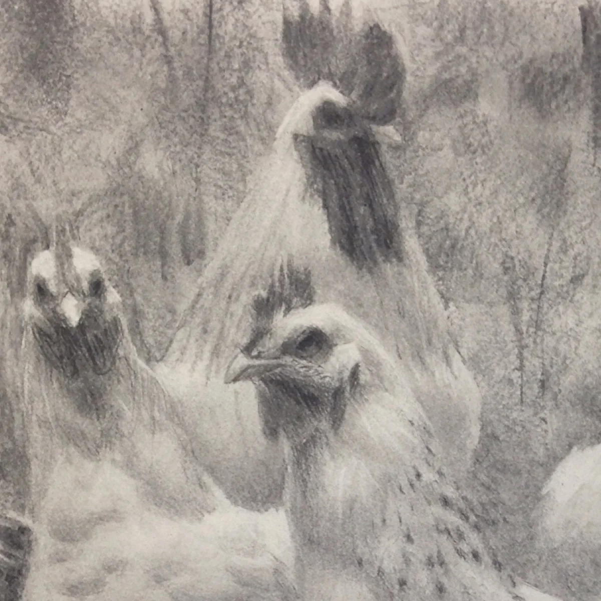 In the Coop — detail 1