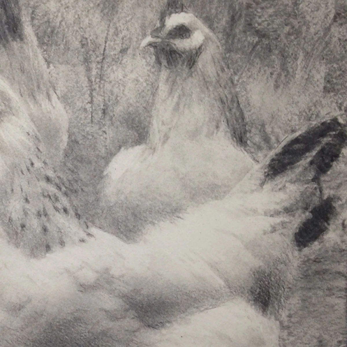 In the Coop — detail 2