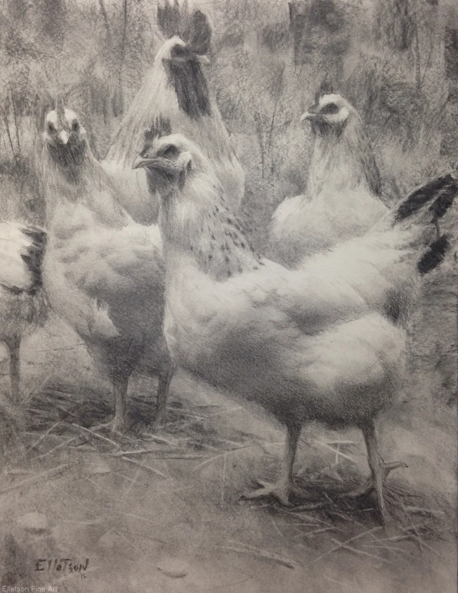 In the Coop